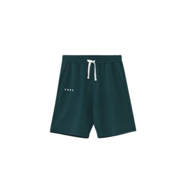Short BASIC GREEN